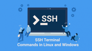 SSH Terminal Commands in Linux and Windows