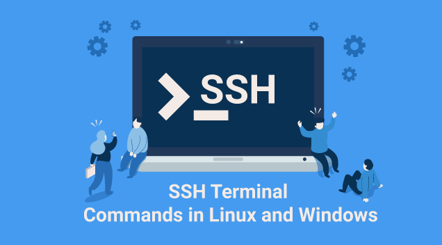 SSH Terminal Commands in Linux and Windows