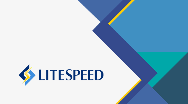 Read more about the article WebHostFace US Shared Servers Powered by LiteSpeed